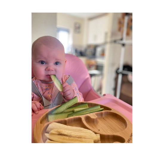 Bamboo Baby Plate 